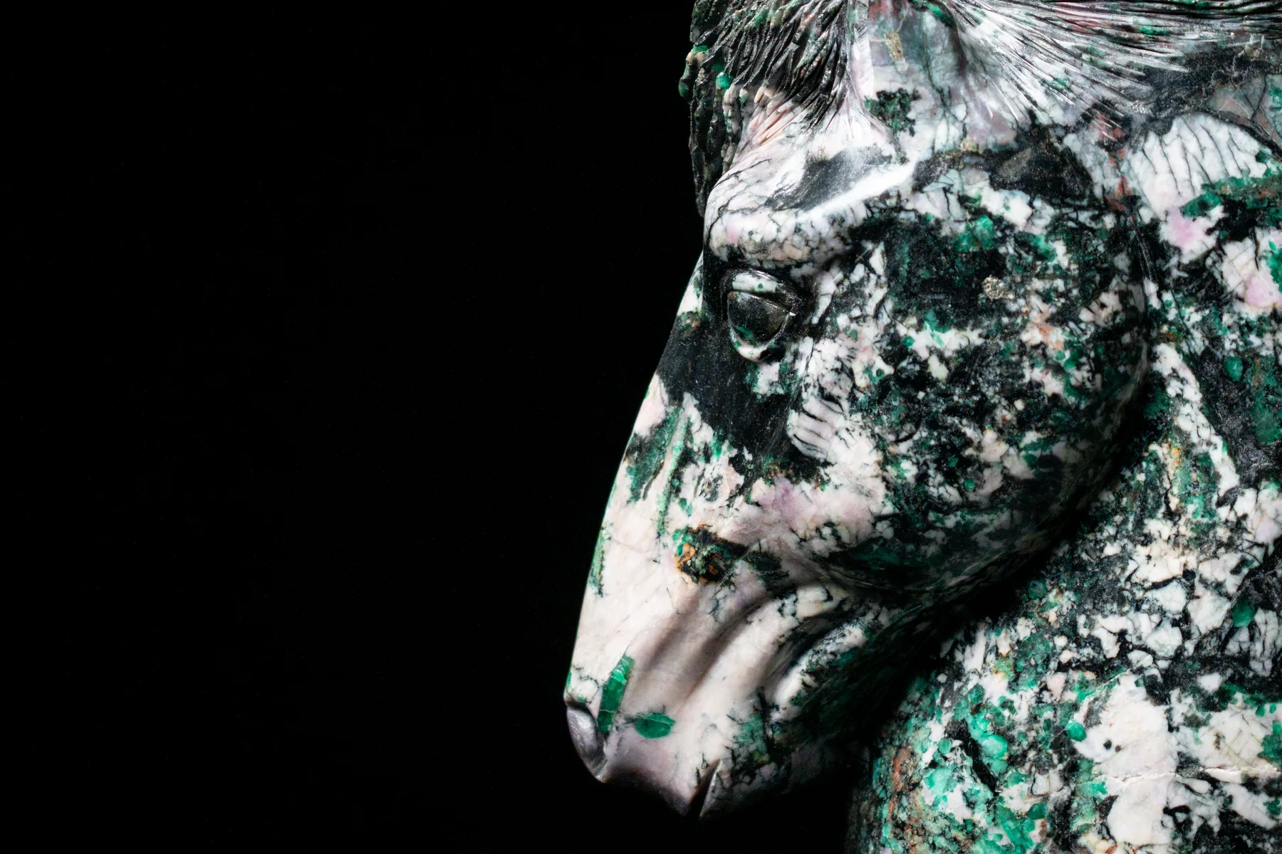 Detail of the head