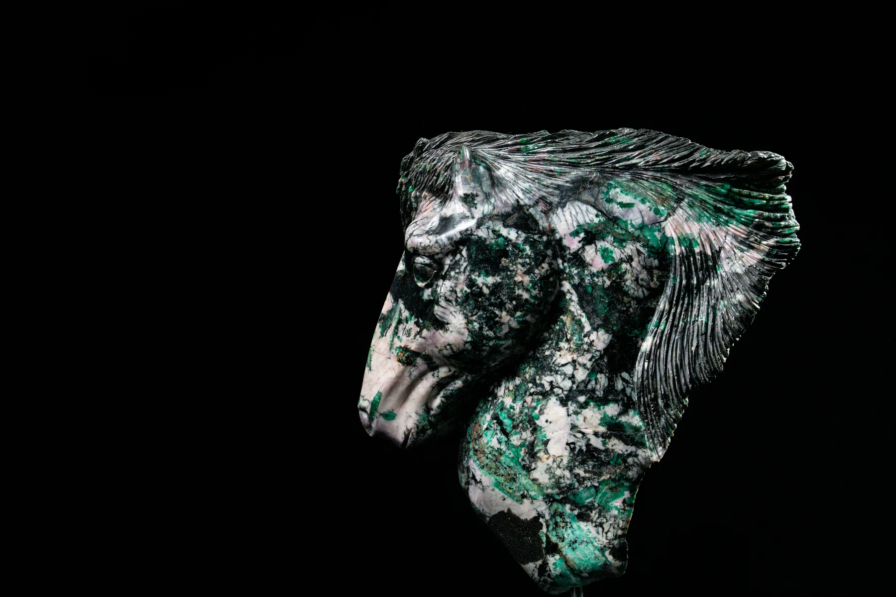 Head with flowing mane