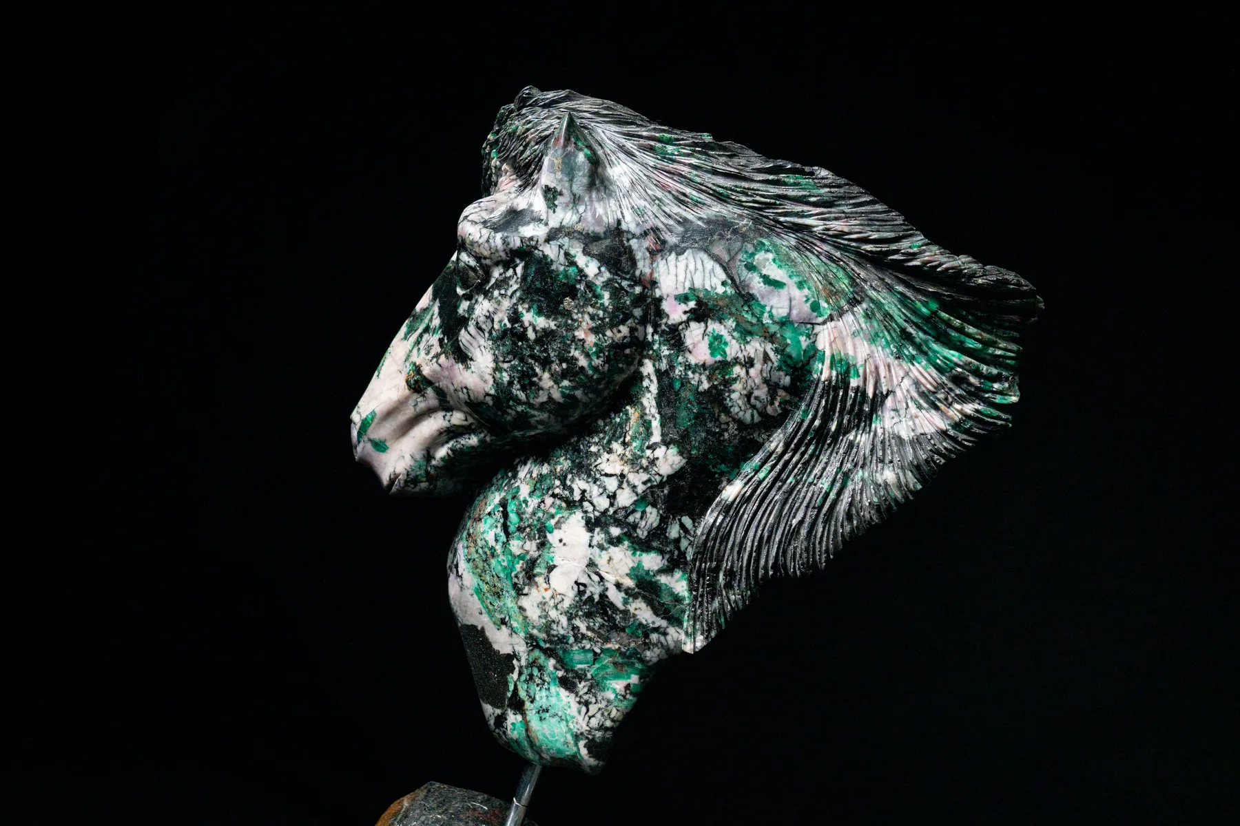Profile of the Arabian Horse Head